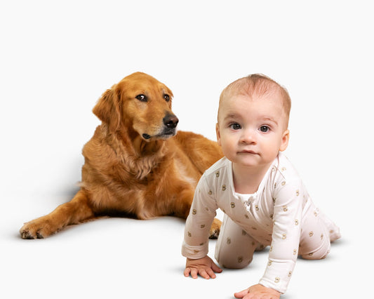 Organic Zippered Footie in Golden Retriever