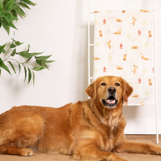 Organic Cotton & Bamboo Muslin Swaddle Blanket in Golden Retriever
