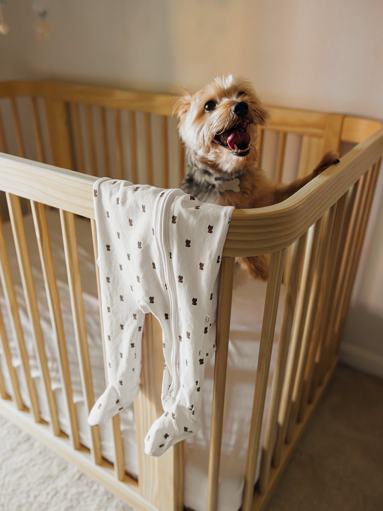 Organic Zippered Footie in Yorkie