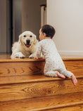 Load image into Gallery viewer, Organic Zippered Romper in Golden Retriever
