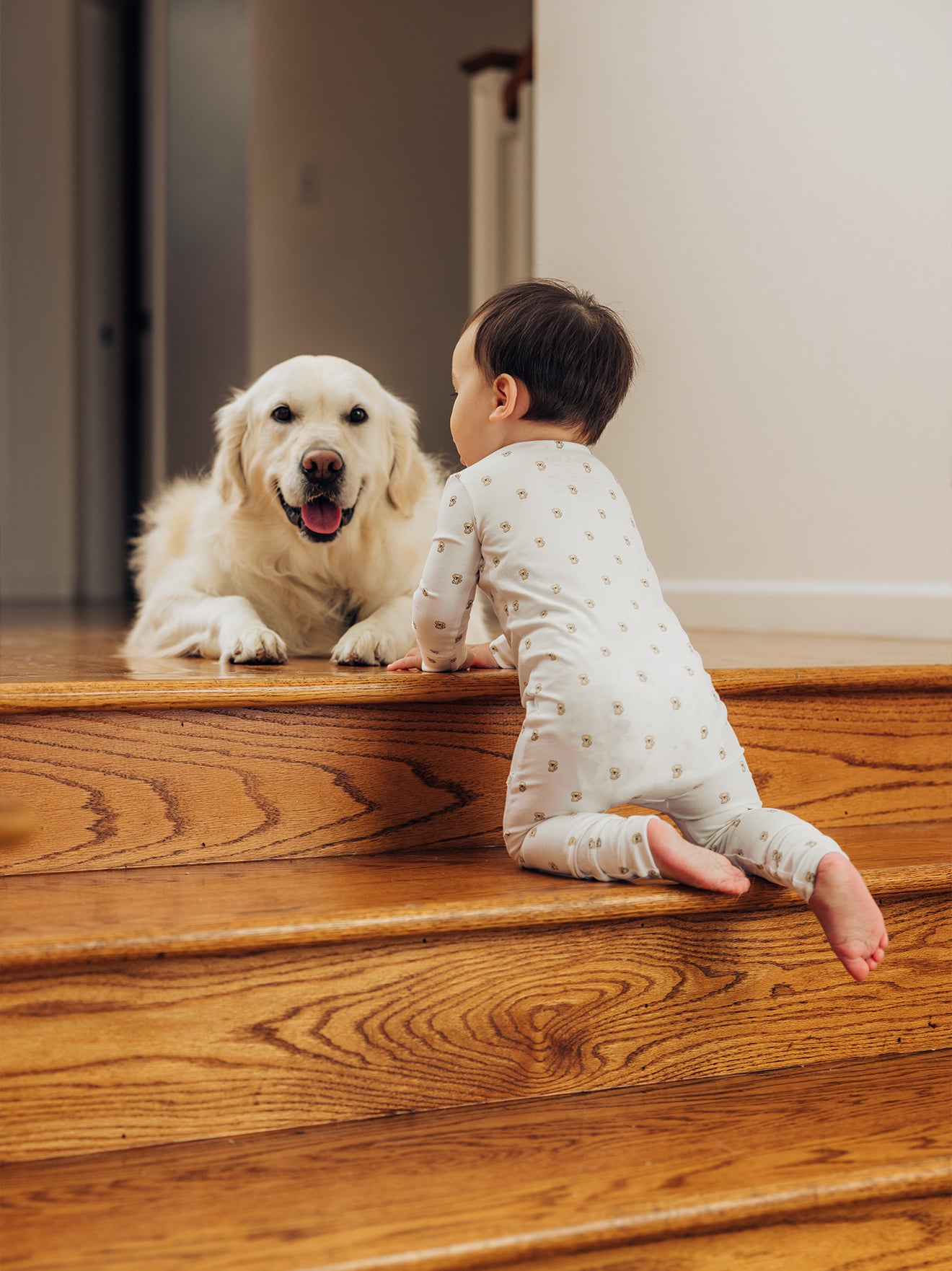 Organic Zippered Romper in Golden Retriever